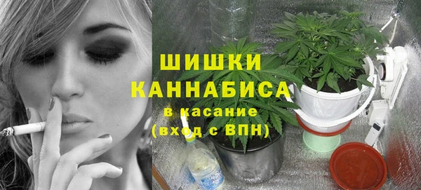 спайс Алзамай