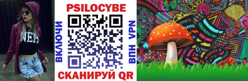 Купить закладки Новоульяновск Псилоцибиновые грибы Psilocybe